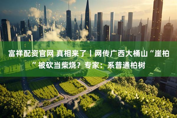 富祥配资官网 真相来了丨网传广西大桶山“崖柏”被砍当柴烧？专家：系普通柏树
